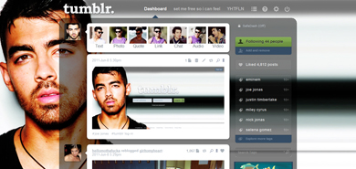 joe jonas international snm dash theme