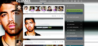 joe jonas international snm dash theme (lg res)