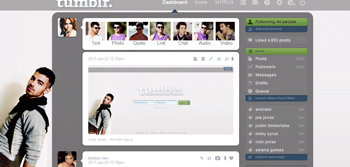 joe jonas dash/menu theme (lg res)