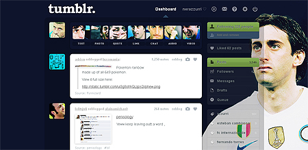 Tumblr dashboard theme: Diego Milito