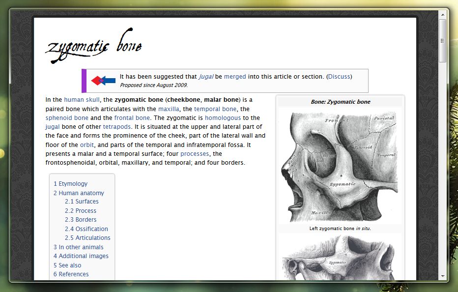 sqWiki clean XI
