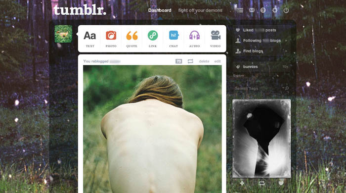 DAISY by brand new - tumblr theme