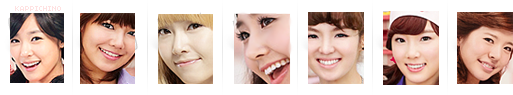 SNSD - Cooky Promo Dashboard Icons