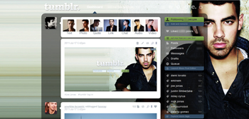 joe jonas fastlife dash/menu