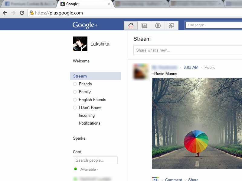 Google+ Facebook Theme