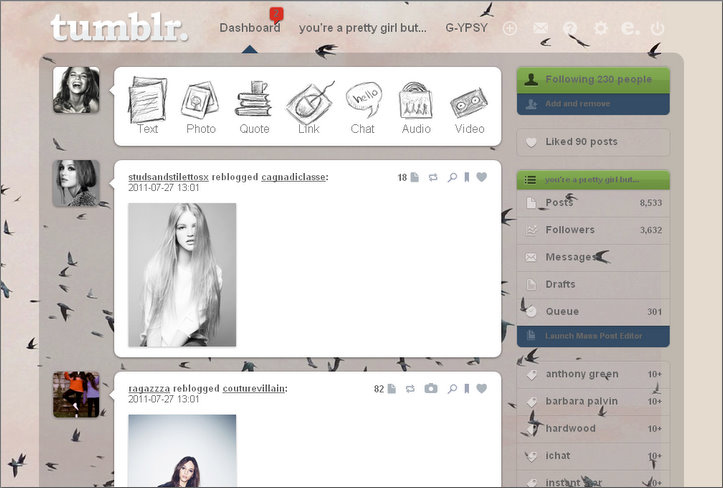 PINK BIRDIES Tumblr Dash theme - seity