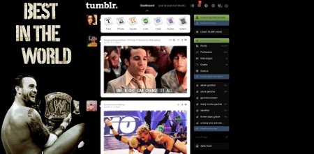 WWE CM Punk Tumblr Theme