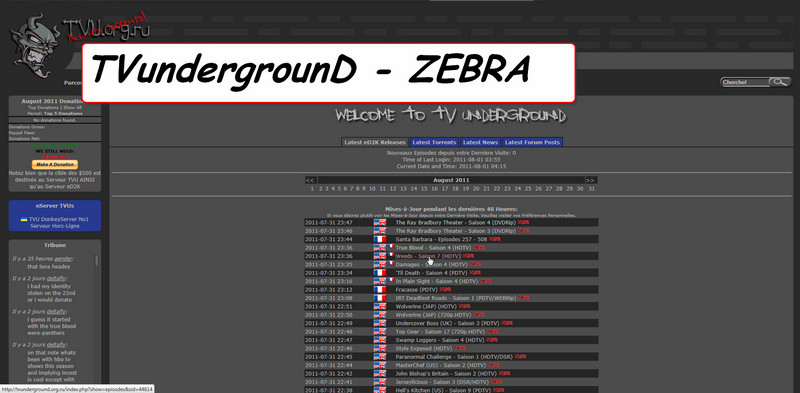 TVunderground - ZEBRA