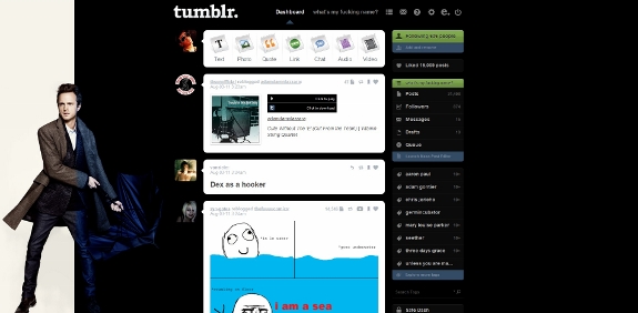 Aaron Paul Tumblr Theme 2