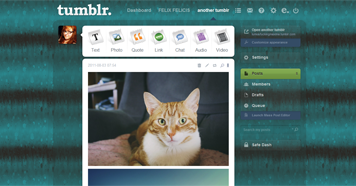 Into the ocean - Tumblr Dashboard theme