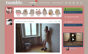 Pusheen Dahboard and Icons