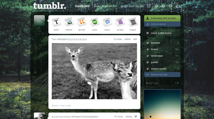 dark forest ✞ tumblr theme