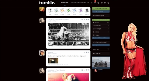 WWE Maryse Tumblr Dash Theme 2