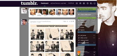 joe jonas rollacoaster mag 2 (lg res)