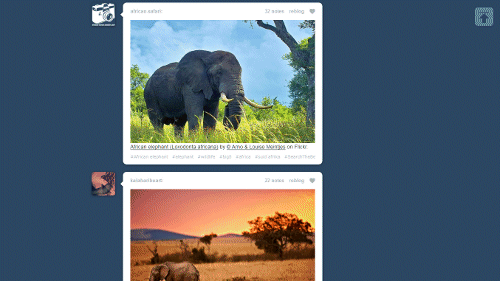 tumblr - Zoom
