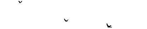 about:blank' decoration: glittering starfield