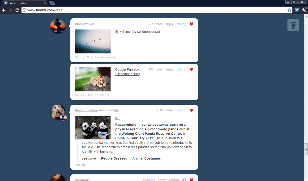 Circular Tumblr User Icons