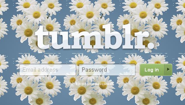 Daisys!