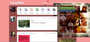 tumblr MB theme