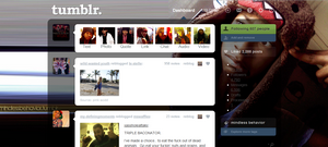 Ray Ray Dashboard Theme