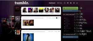 Mindless Behavior Dashboard Theme 2