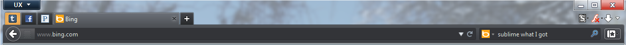 Stealth Firefox