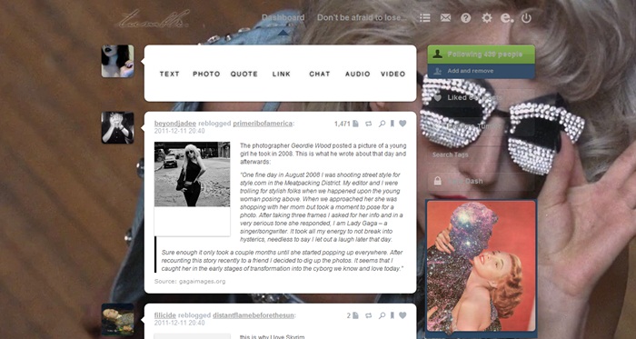 Lady Gaga tumblr dashboard 2