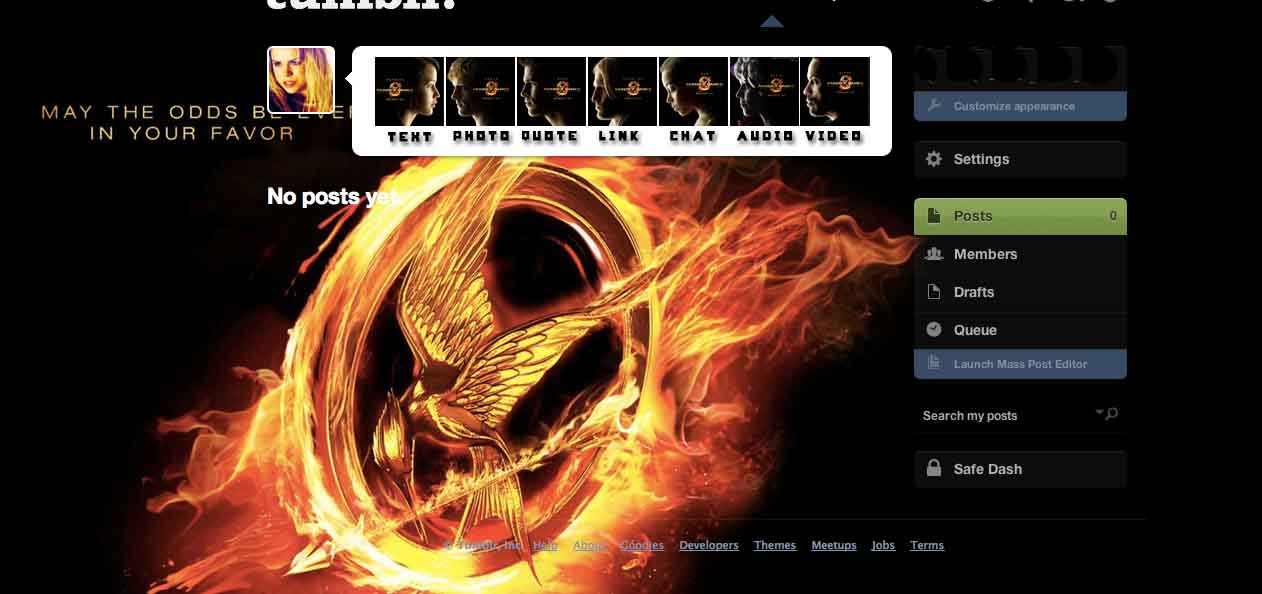 The Hunger Games Dashboard Theme