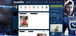 Roberto Luongo Tumblr Dashboard Theme