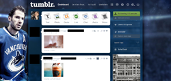 Ryan Kesler Tumblr Dashboard Theme