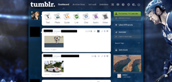 Henrik Sedin Tumblr Dashboard Theme.