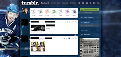 Daniel Sedin Tumblr Dashboard Theme.