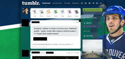 Maxim Lapierre Tumblr Dashboard Theme.