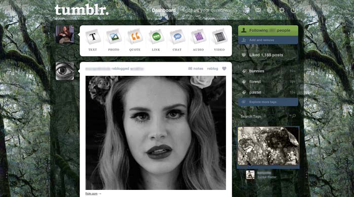 dark forest canopy ✞ tumblr theme