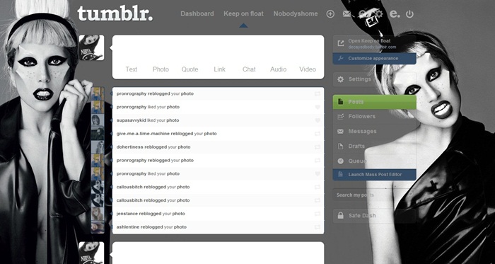 Lady Gaga tumblr dashboard 5