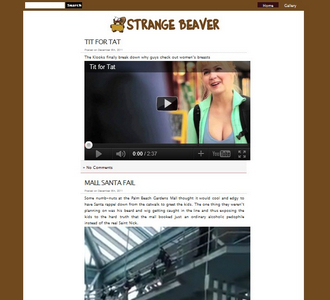 Cleaner StrangeBeaver.com
