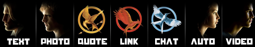 Hunger Games District 12 Dash icons