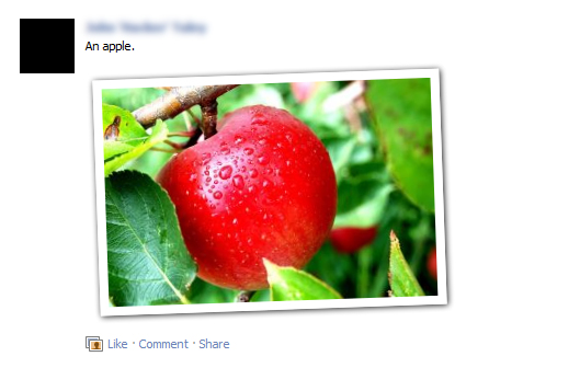 Facebook - Photograph Style Pictures