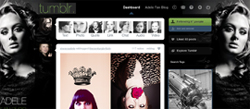 Adele Dashboard Tumblr 4