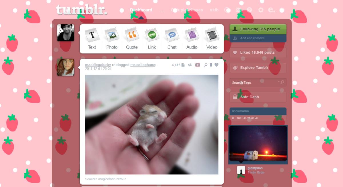 ッ Kawaii Strawberry Tumblr
