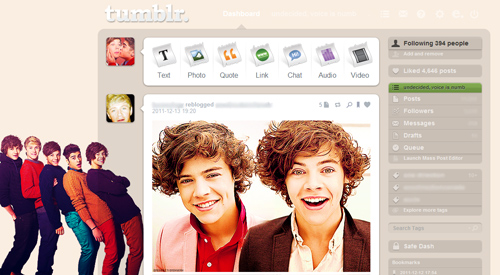 One Direction Dashboard Theme