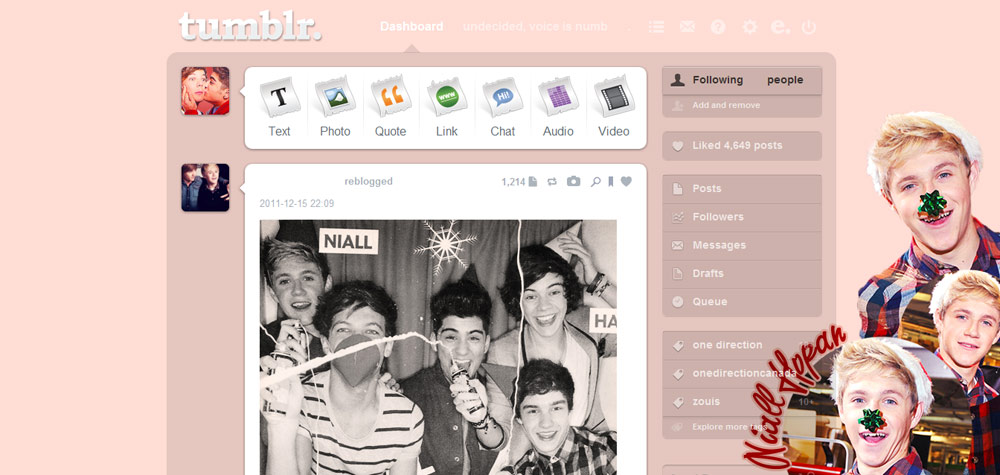Niall Horan Xmas Dashboard Theme