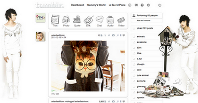 tumblr dashboard theme - MYNAME Chaejin (White)