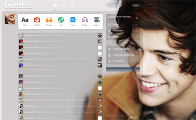 Harry Styles Dashboard Theme {8}