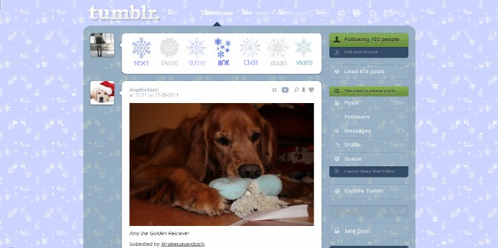 Snowy Winter (Tumblr)