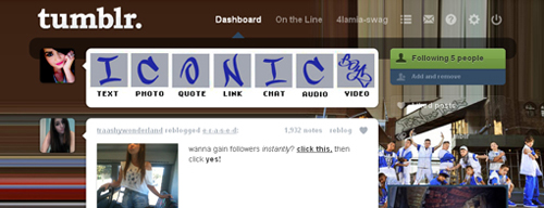 ICONic Boyz; All Fourteen