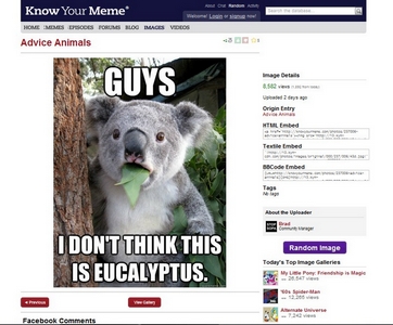 Cleaner KnowYourMeme.com