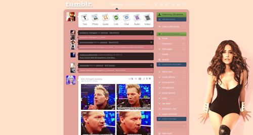 Emmy Rossum Tumblr Dash Theme