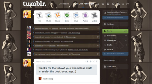 Emmy Rossum Tumblr Dash Theme 2