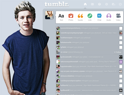 Niall Horan Dashboard Theme {1}